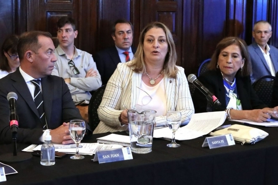 La ministra Ciancio participó del Primer Consejo Federal de Salud