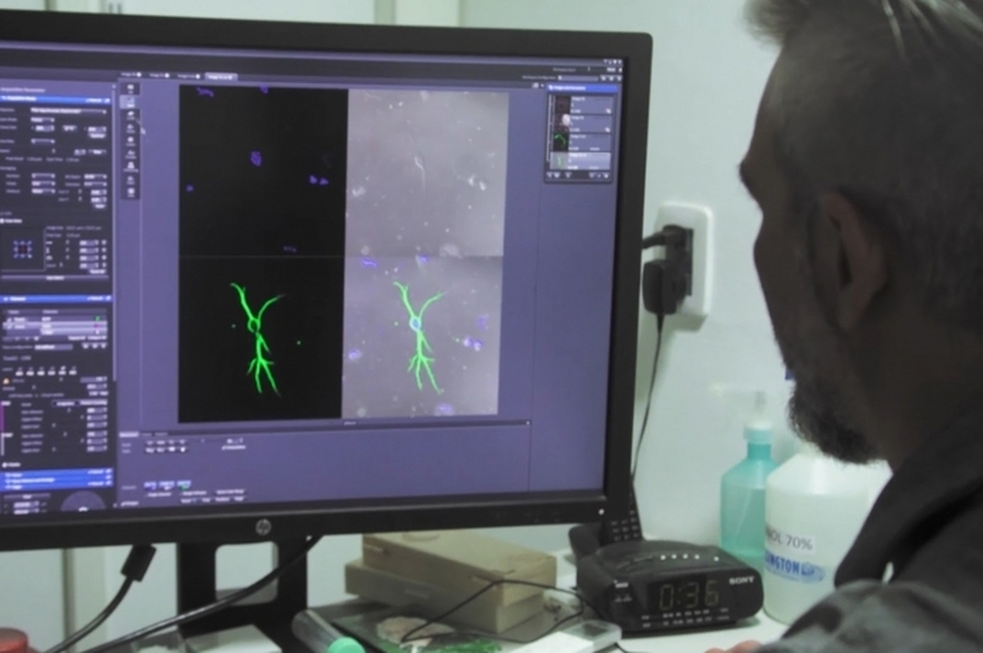 Presentan un ciclo de documentales para conocer qué es y cómo se hace ciencia en Santa Fe