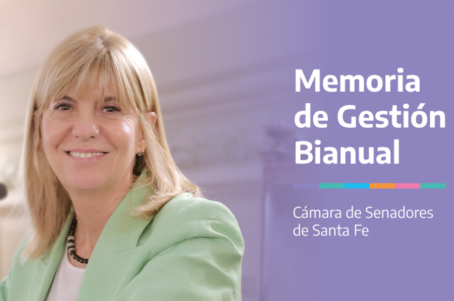Rodenas presentó un balance bianual de su gestión ante el Senado