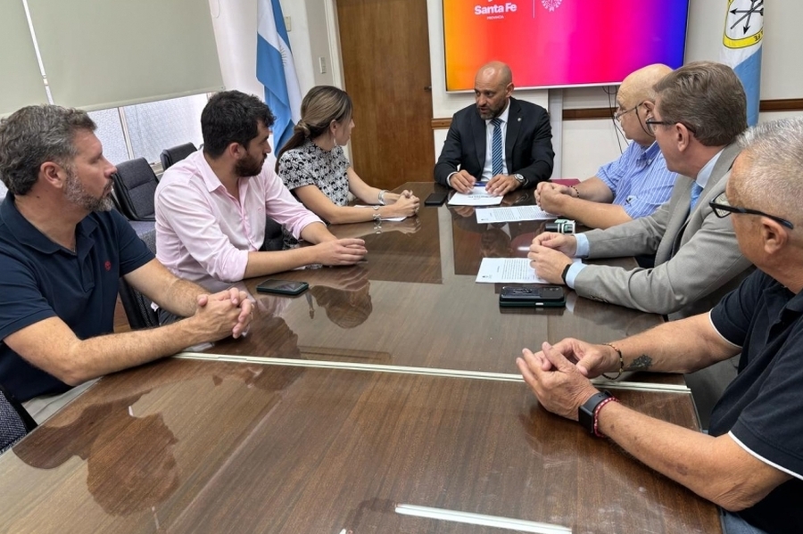 Borla confirmó que son cuatro las empresas que presentaron ofertas para la obra de energía en Videla