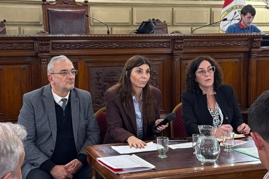 Calvo participará en las comisiones de Poder Ejecutivo y Legislativo, y de Funcionamiento del Estado y Participación Ciudadana