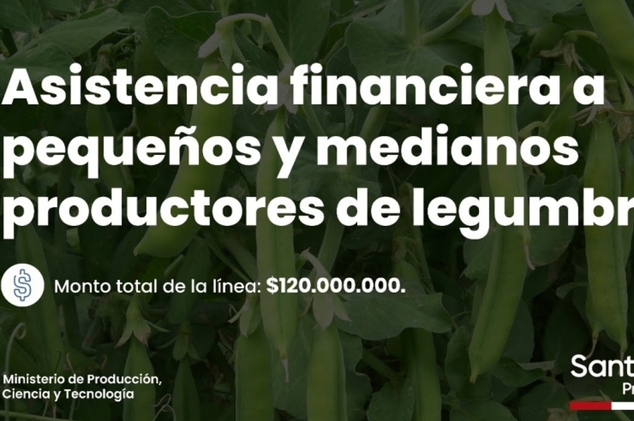 Impulsan una línea de asistencia financiera a pequeños y medianos productores de legumbres