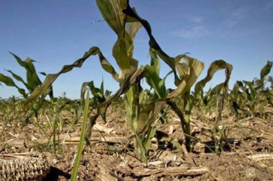 La provincia prorrogó la emergencia agropecuaria por sequía en todo el territorio y para todas las actividades agropecuarias