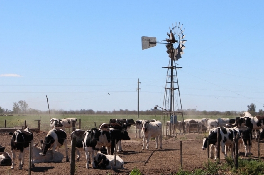 La provincia recuerda la vigencia de la línea de financiamiento de reactivación productiva para productores agropecuarios