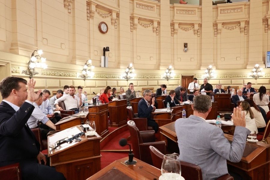 El Senado otorgó sanción definitiva por unanimidad al Presupuesto 2026