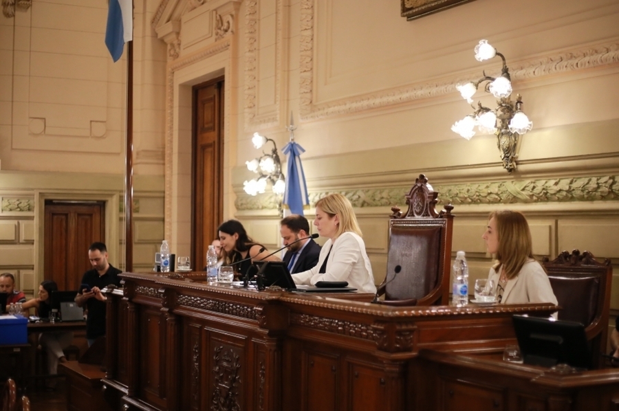 El Senado aprobó por unanimidad la emergencia social, educativa y sanitaria