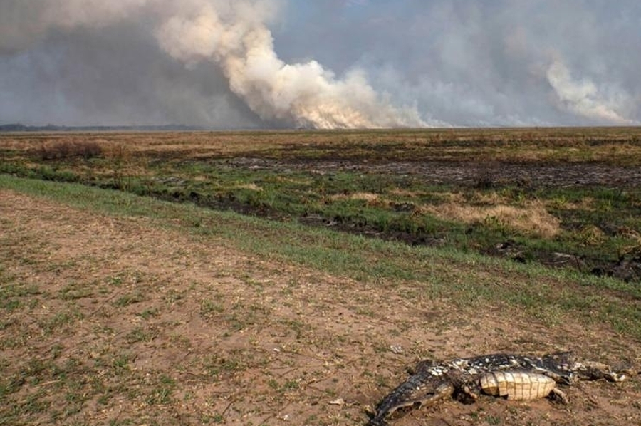Disminuyeron los focos de incendios en Corrientes, tras la llegada de la lluvia