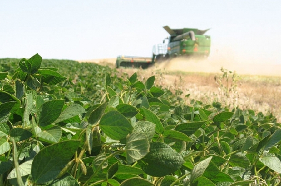 Mecanismo para acceder a los beneficios de la Emergencia Agropecuaria 2022