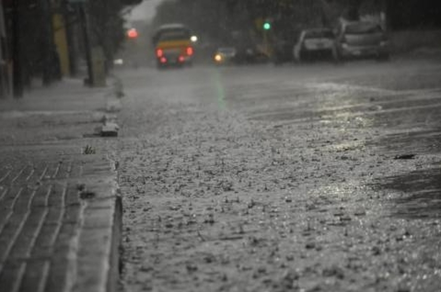 En promedio, cayeron 23 milímetros de lluvia en la ciudad y hubo reclamos por ramas caídas y cables cortados