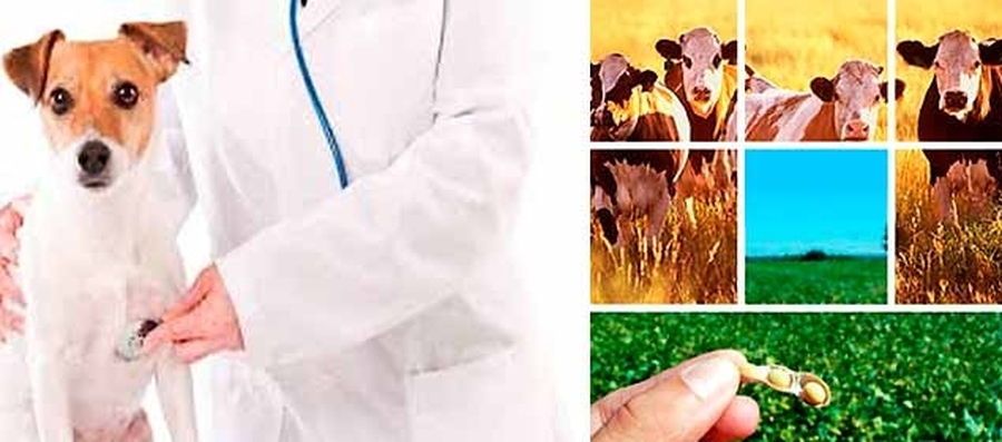 Día Nacional del Ingeniero Agrónomo y del Veterinario