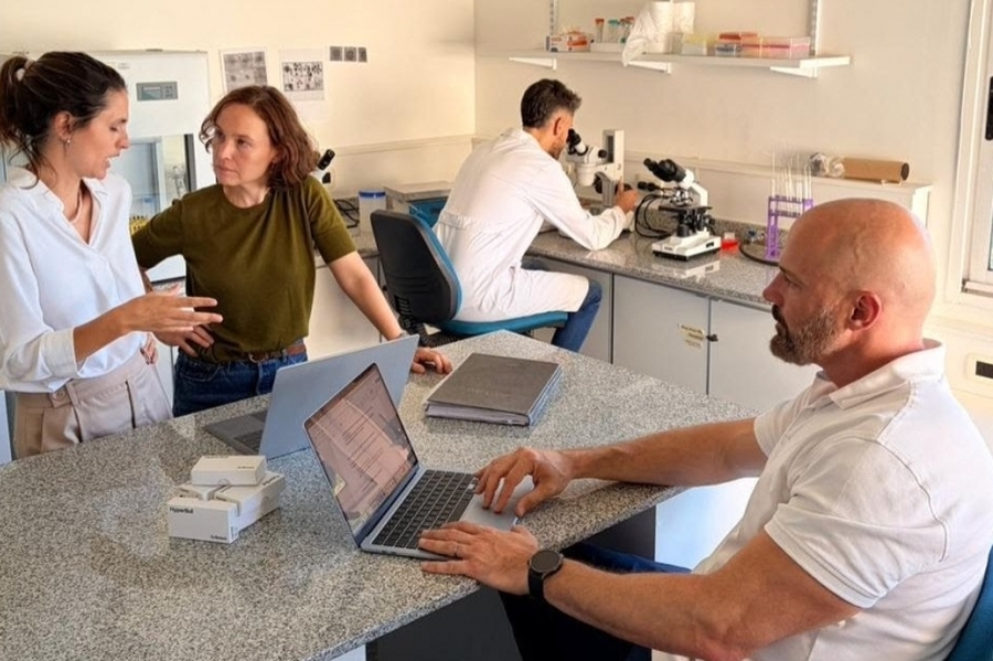 De los laboratorios al campo: Santa Fe mostrará en Expoagro biotecnología ganadera que ya se exporta