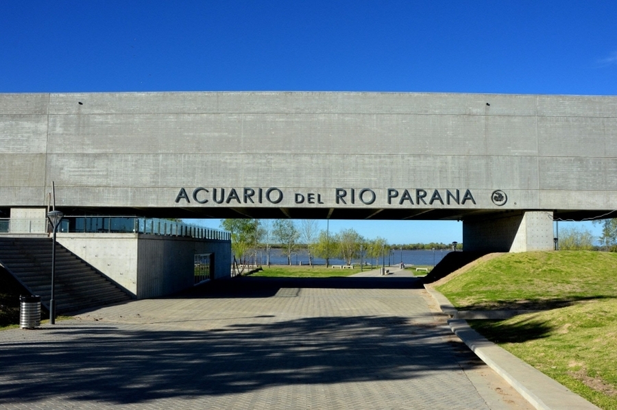 Explorá los humedales: se inaugura una nueva muestra fotográfica en el Acuario del Río Paraná