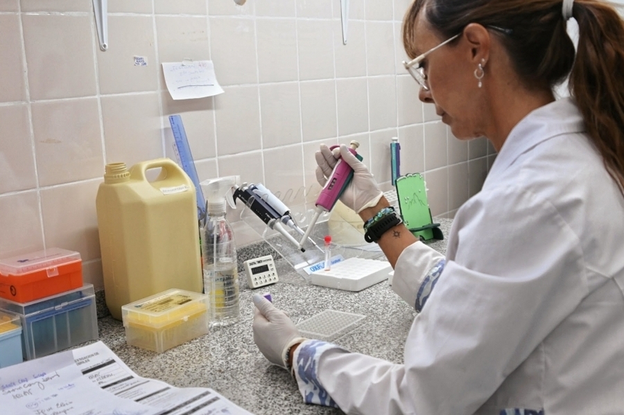 Con 50% más de insumos y en red: así trabajan los laboratorios de la Provincia de Santa Fe para la detección del dengue