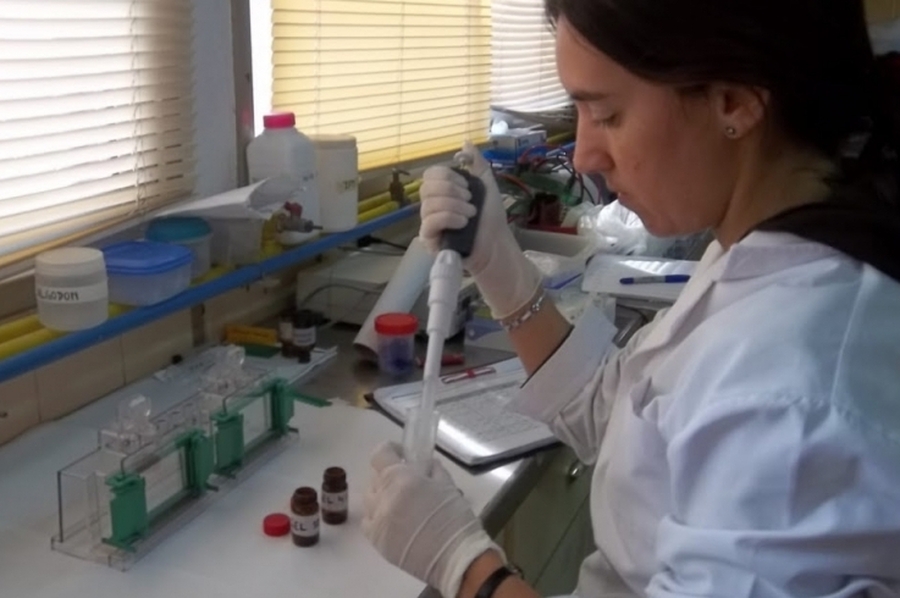Científicas santafesinas y un inédito descubrimiento sobre el cannabis medicinal