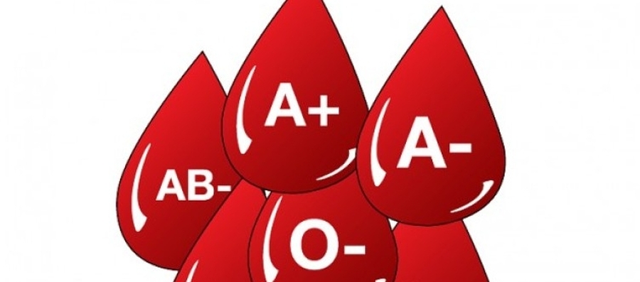 Donación de sangre voluntaria y habitual