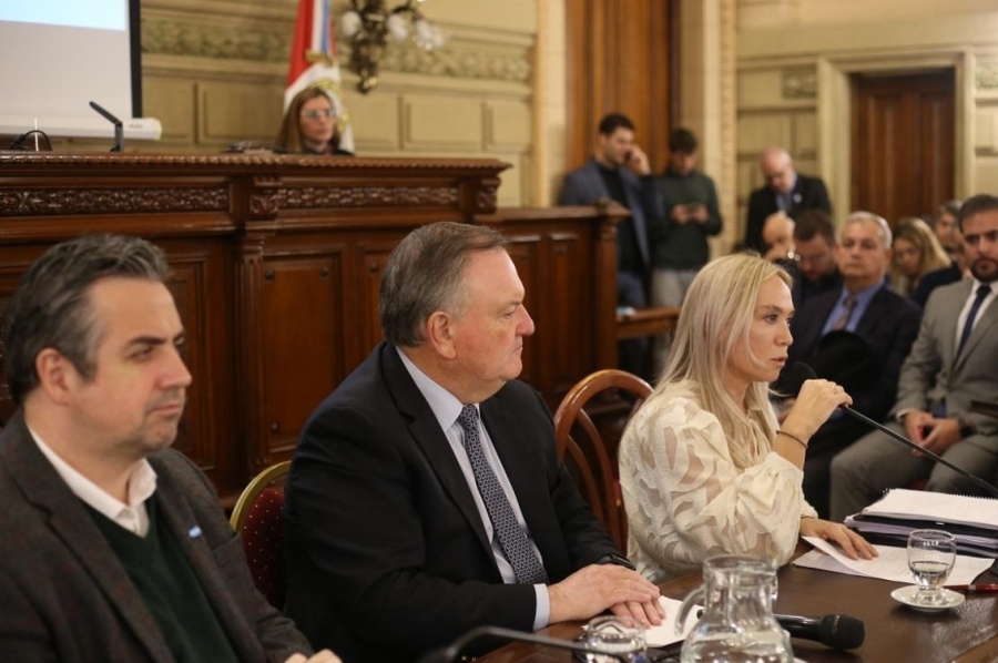 En el Senado, la Fiscal General del MPA presentó su Informe de Gestión