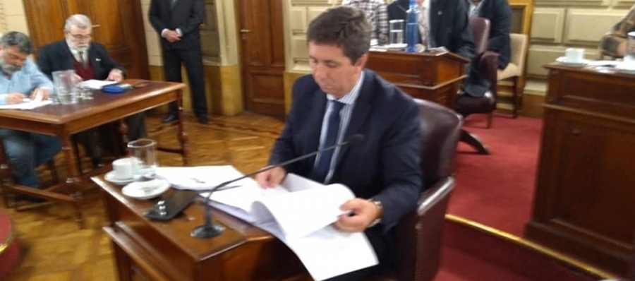 Juntos construimos una manera de hacer cosas con libertad...
