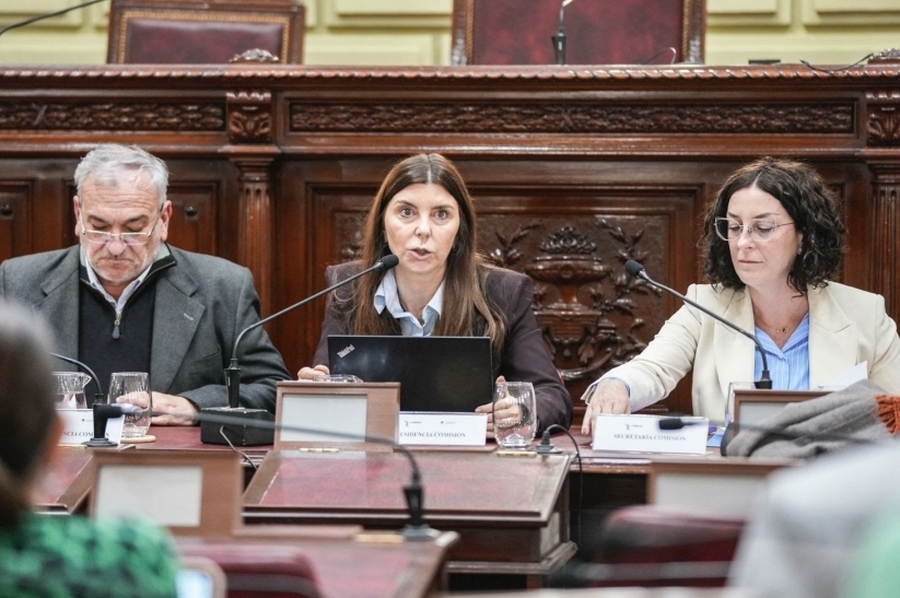 La Comisión de Funcionamiento del Estado y Participación Ciudadana abordó diversos temas