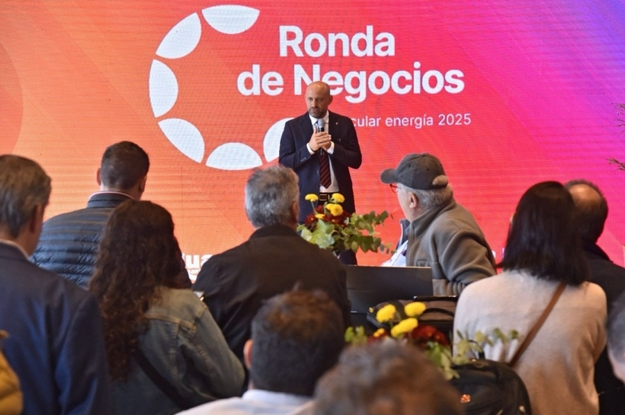 Puccini: “Si las empresas públicas suman proveedores, bajan los costos, se hacen más eficientes y brindan mejor servicio”