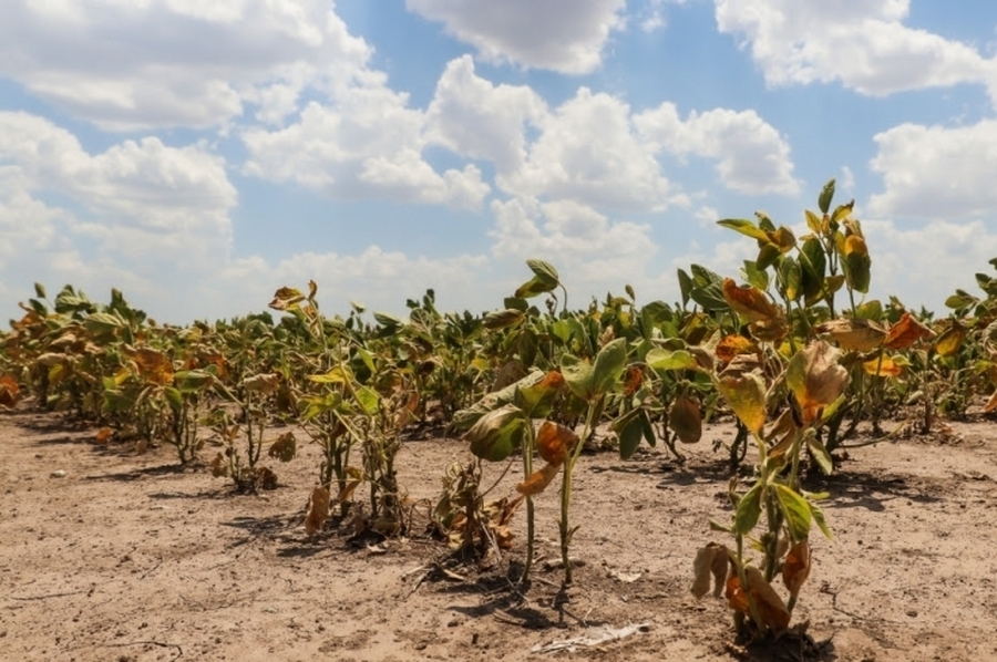 La provincia avanza en la implementación de la Emergencia Agropecuaria