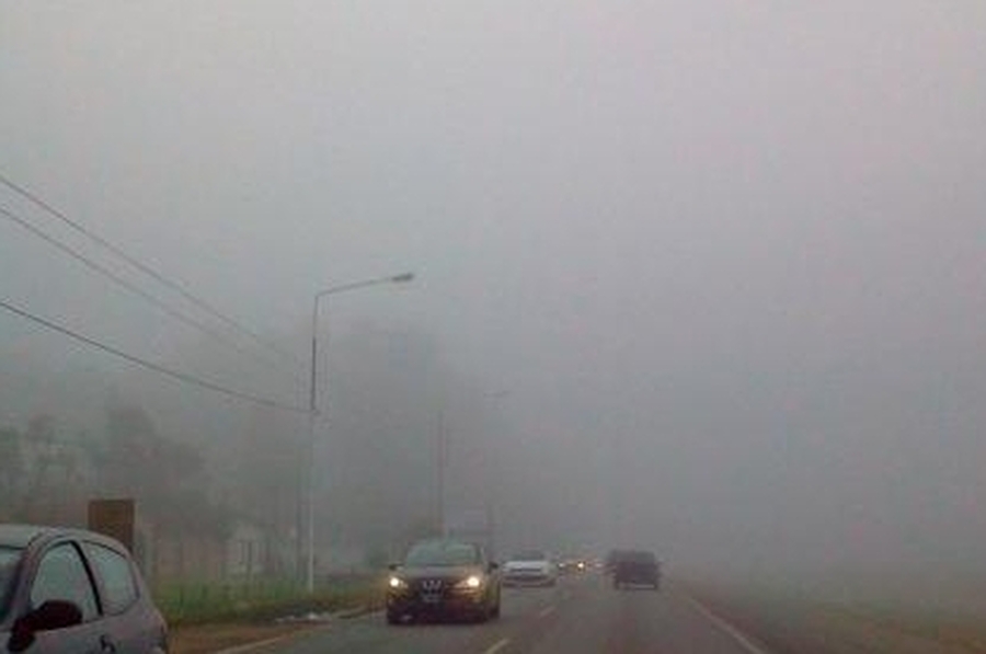 Miércoles cálido con alta humedad: anuncian descenso de temperatura para mañana