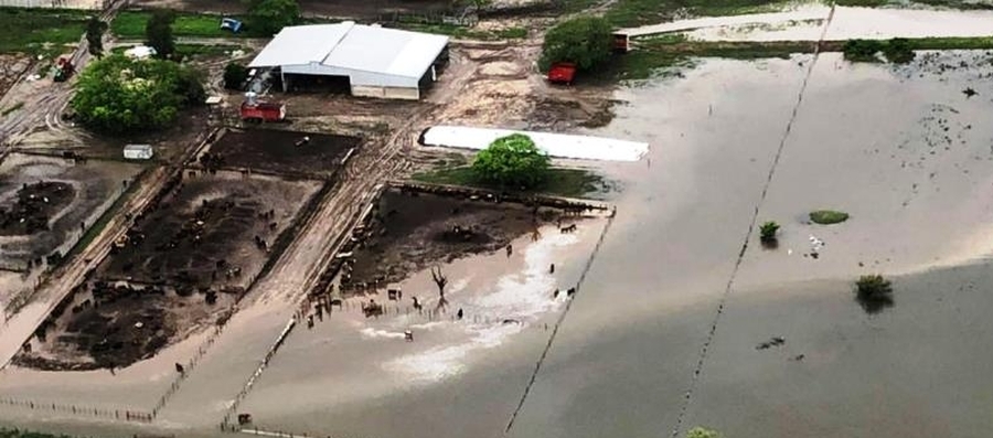 El Gobierno Nacional resolvió declarar la Emergencia Hídrica