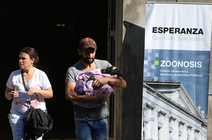 Nuevas fechas para castraciones en los barrios