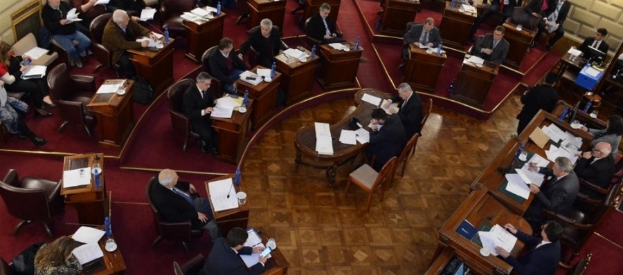 Senadores que asumirán el 4 de diciembre