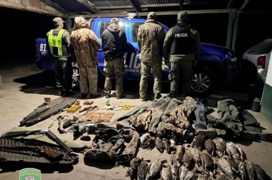 Fuertes operativos contra la caza y la pesca ilegal en Santa Fe, con secuestros y detenidos