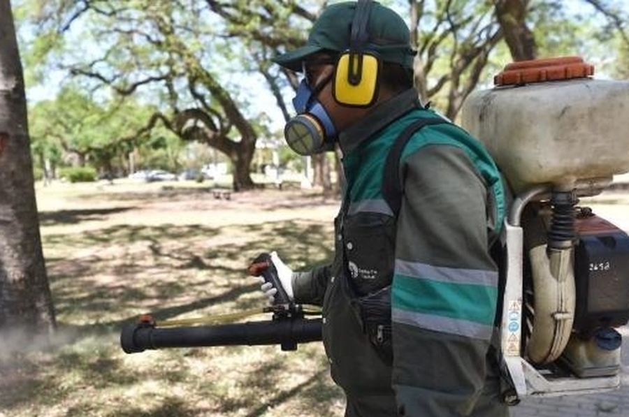 Operativo dengue: ¿Cuáles son las zonas de fumigación este jueves?