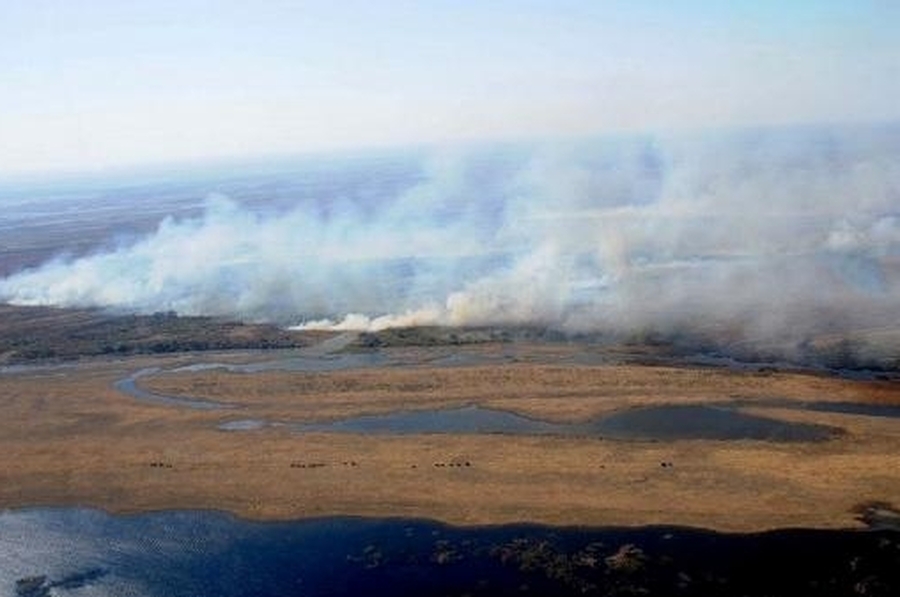 Condenaron a dos apicultores por un incendio intencional en las islas del Delta del Paraná