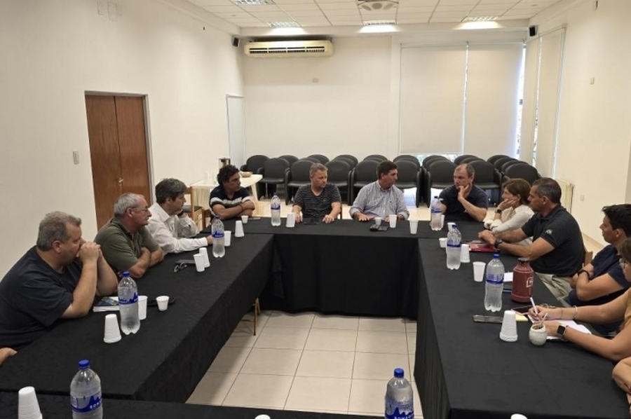 Pirola en CICAE: “La reforma constitucional debe responder a las verdaderas necesidades de nuestro territorio”