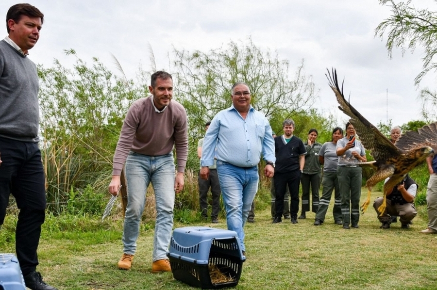 Biodiversidad: Provincia ya realizó 1.400 rescates de animales