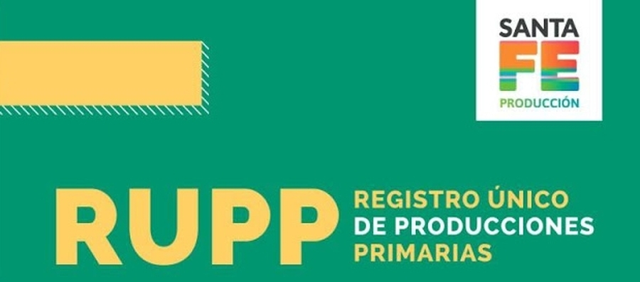 Actualización de datos de RUPP