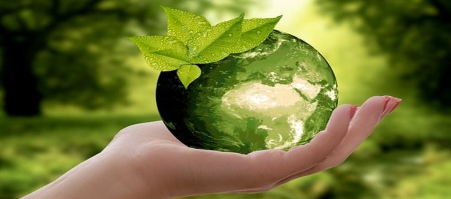 Día Mundial de la Naturaleza.
