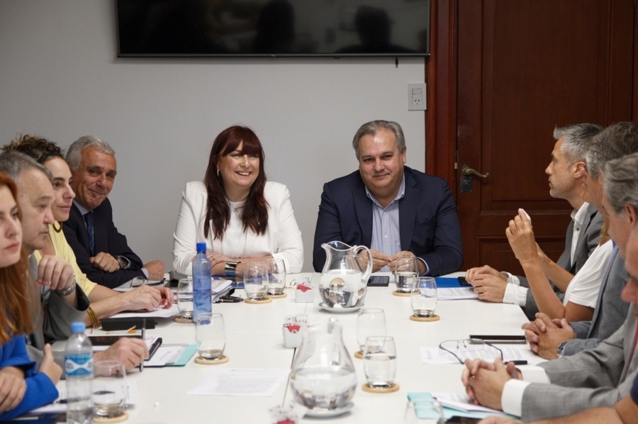 La ministra Celia Arena concurrió a la Cámara de Diputados y respondió interrogantes de los legisladores