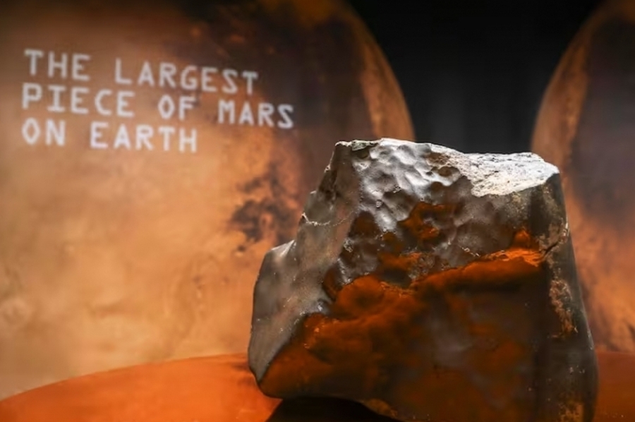 Subastaron el meteorito más grande de Marte hallado en la Tierra: ¿cuál fue la suma millonaria que se pagó?