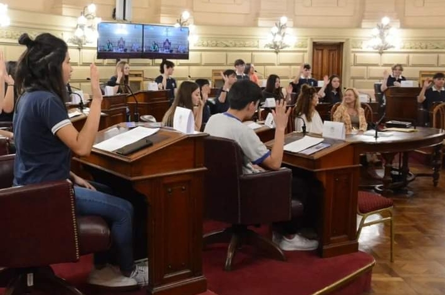 Borla solicita la creación de un espacio de acompañamiento de problemáticas adolescentes en escuelas secundarias y técnicas