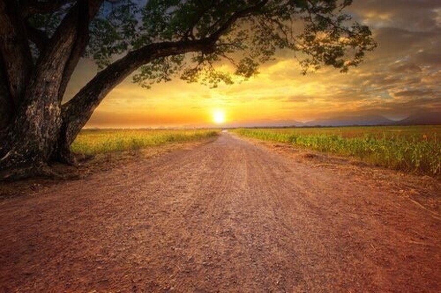 Volver a empezar cuando el año se termina