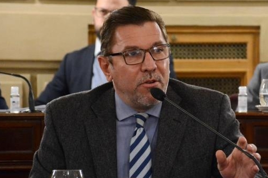 Borla será candidato a Convencional Constituyente: 