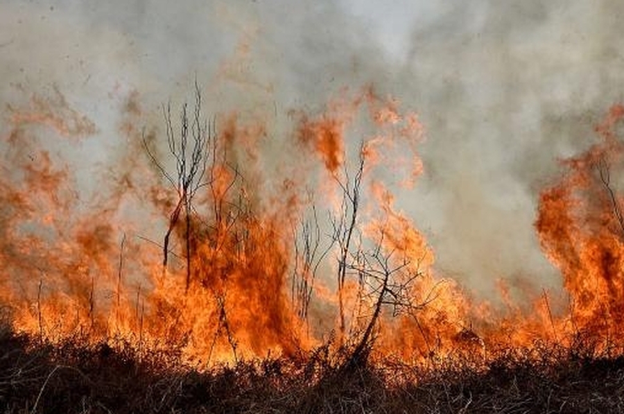 Parques Nacionales a la deriva: despido de personal y ausencia Plan de Manejo del Fuego