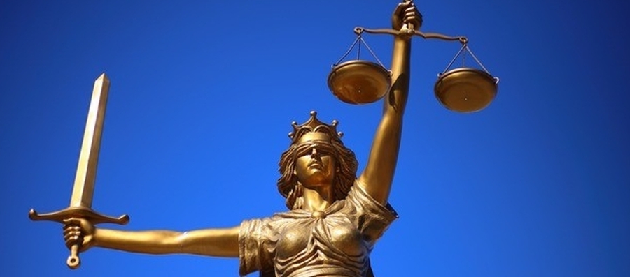 Día Internacional del Derecho