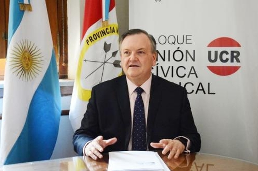 Michlig aseguró por LT9 que el sistema de salud le salvó la vida: 