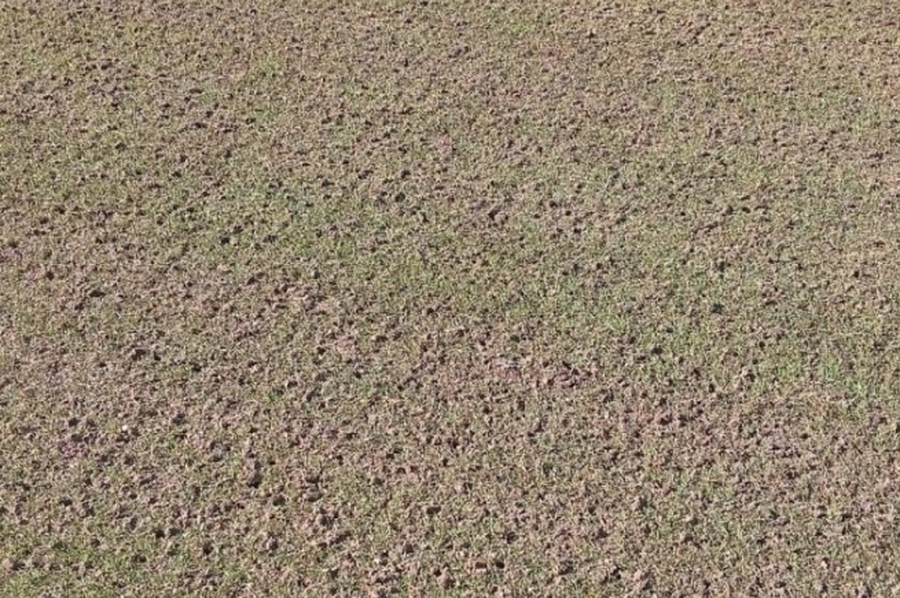 ¿Cómo está el campo de juego de Colón luego del recital de La Renga?