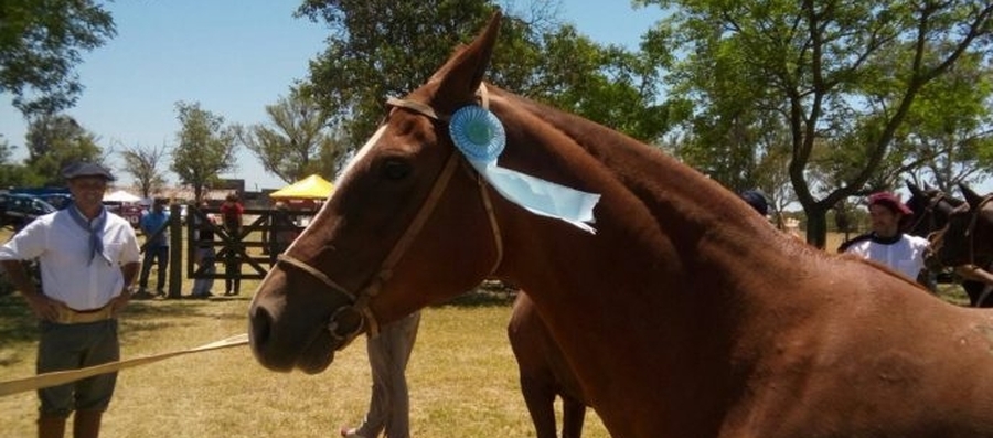 Fiesta Nacional del Caballo en San Cristóbal