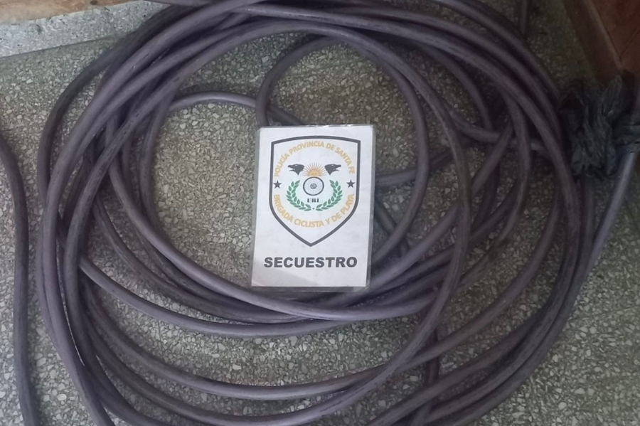 Robó los cables del Puente Colgante y terminó detenido