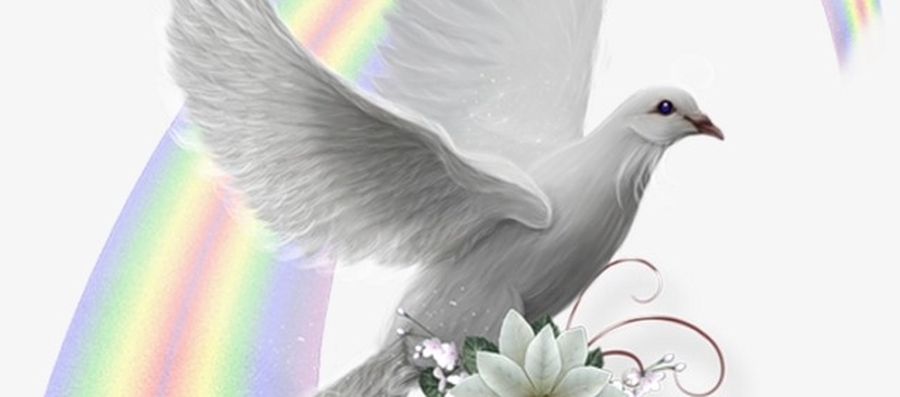 Día Internacional de la Paz y celebración del Año Nuevo