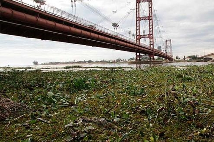 Último pronóstico del INA: se espera el pico en Santa Fe para el 21 de noviembre