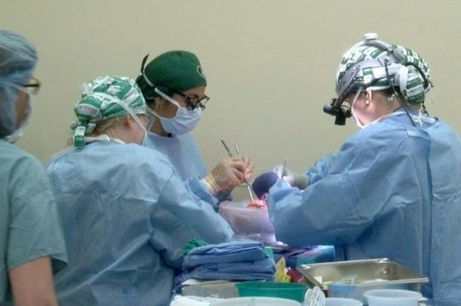 El Papa destacó la donación de órganos como un acto de solidaridad y generosidad