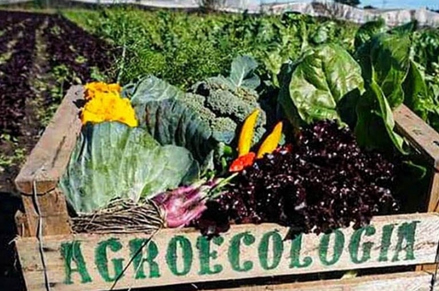 Lanzamiento del Nodo Agroecológico Territorial del Centro provincial